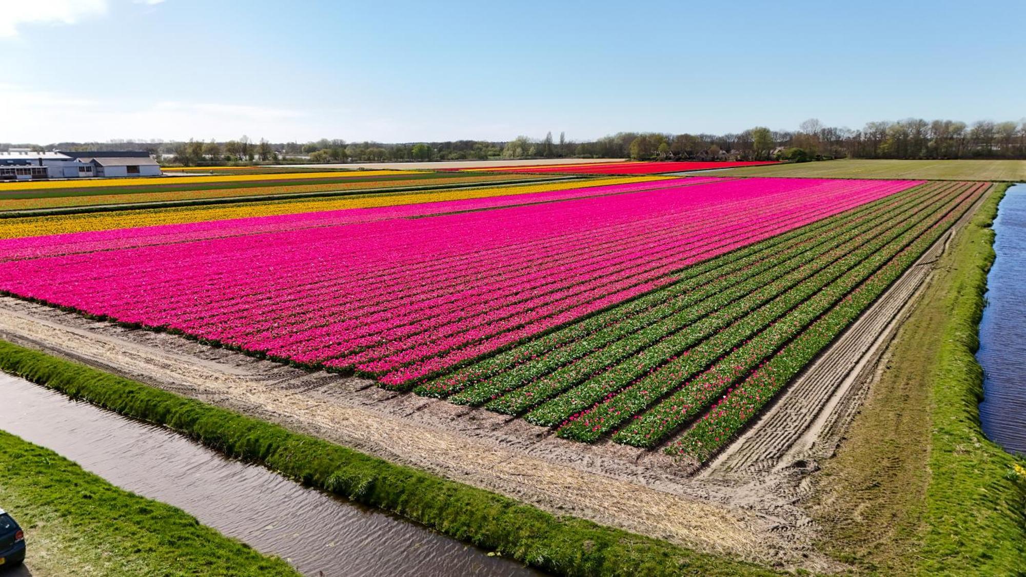 24 - Aan Zee - Met Eigen Tuin