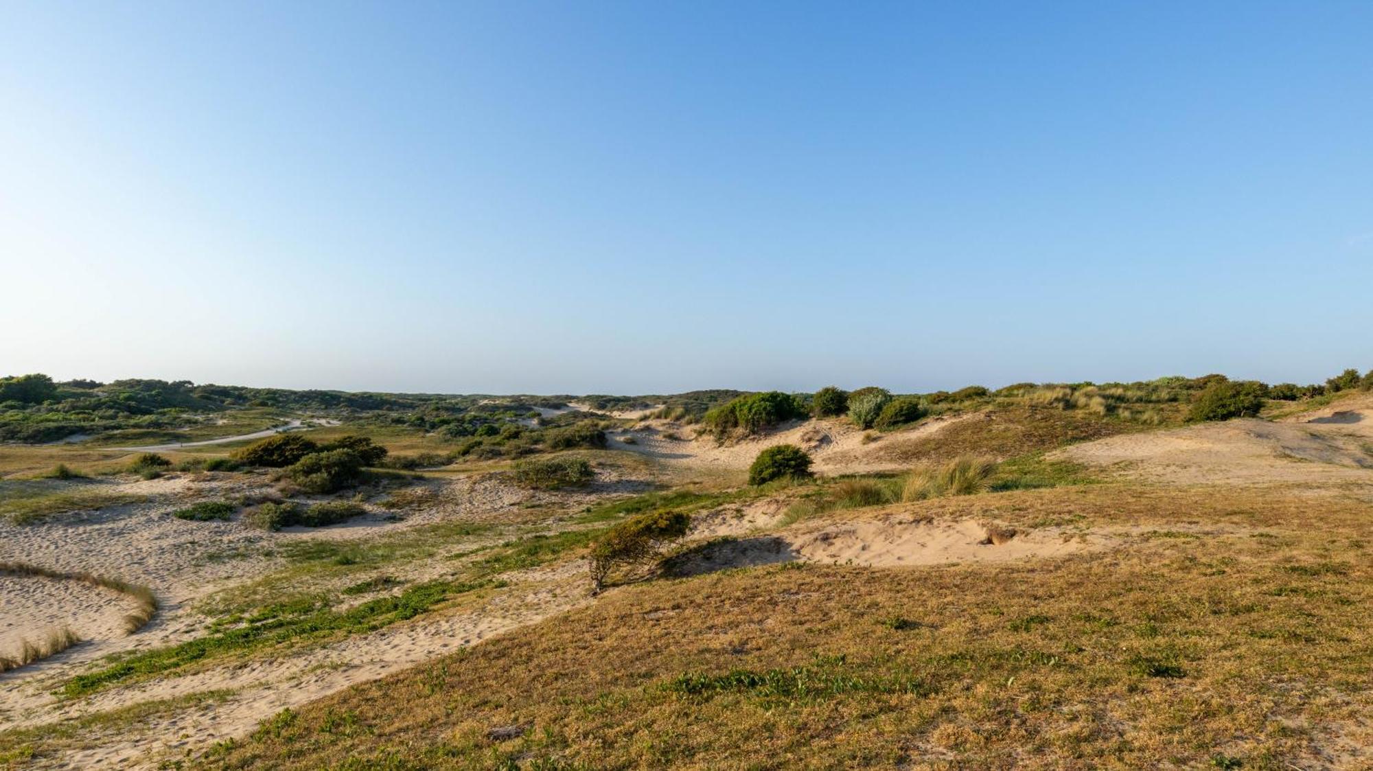 24 - Aan Zee - Met Eigen Tuin Holiday home *