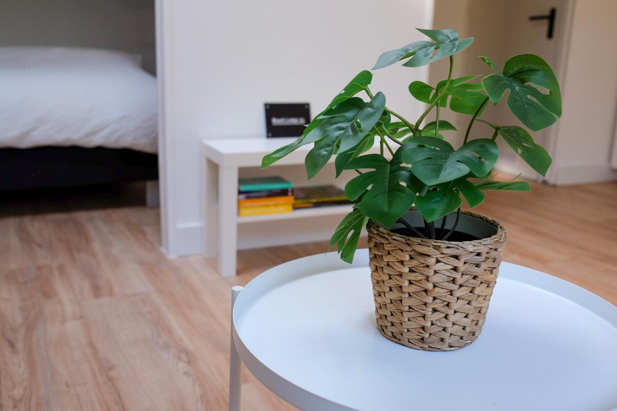 Holiday home 24 - Aan Zee - Met Eigen Tuin *